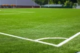 trawa-stadion-5kg-cykl-rozwojowy-rosliny-wieloletnia