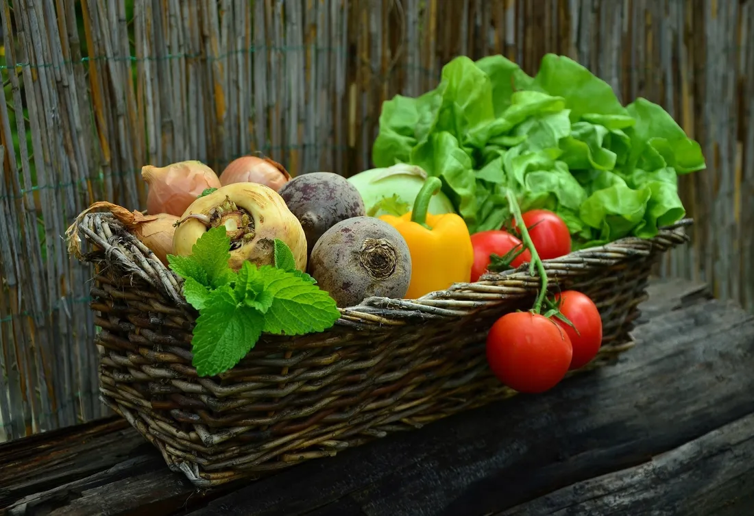 naturalny-nawoz-do-warzyw-1-kg