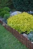 palisada-wiklinowa-20-100
