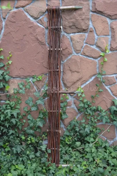 palisada-wiklinowa-10-100