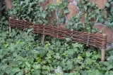 palisada-wiklinowa-10-120