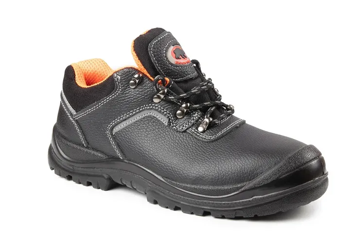 bearfield-polbut-r03-s1-src-tbbr4-44-a-model-r03