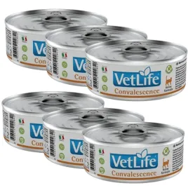 farmina-vet-life-convalescence-cat-6x85g