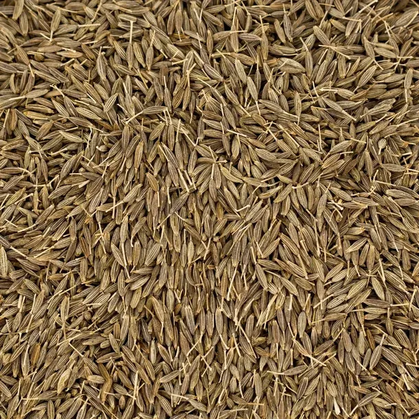 kmin-rzymski-ziarno-100g-stan-nowy