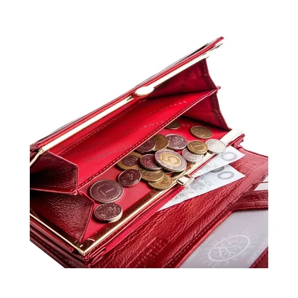 zbpdbs100czerwony60476-kod-producenta-zbpdbs100czerwony60476