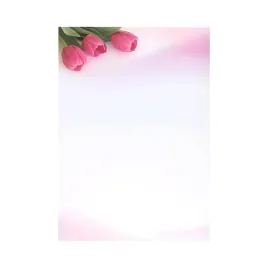 papier-ozdobny-arkusze-barwne-a4-100g-fanfan-galeria-papieru-50ark