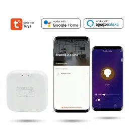 bramka-tuya-2-4ghz-do-systemow-magnetycznych-smart-track