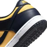nike-dunk-low-gs-dlugosc-wkladki-wew-24-cm