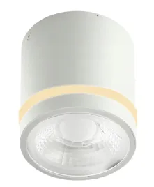 azzardo-az6040-vici-ip44-12w-cct-switch-wh