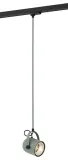 argon-4313-net-zwis-1-pl