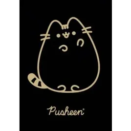 unipap-zeszyt-okladka-laminowana-a5-60-kartek-krata-pusheen