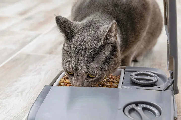 automat-na-karme-petsafe-4871-kolor-wielokolorowy