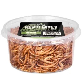 larwy-macznika-suszone-terrario-repti-bites-mealworms-250ml
