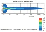 reflektor-drogowy-bialy-h3-halogenowy-stan-nowy