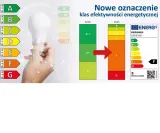 zarowka-led-cls-mini-gl-8w-e14-ww-waga-z-opakowaniem-0-1-kg