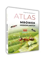 atlas-mrowek-hodowlanych-150-gatunkow-angelika-dawidowicz