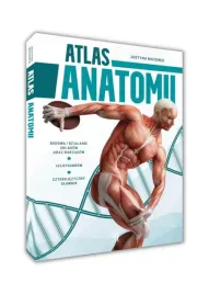 atlas-anatomii-anatomia-czlowieka-twarz-mazurek