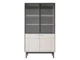 nowoczesna-witryna-2d-103-cm-dab-linea-japi-ps-2-kolory-kolor-mebla-inny-kolor