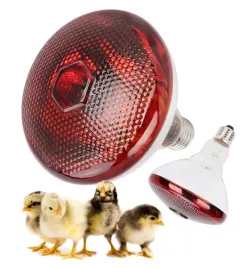 zarowka-promiennik-podczerwieni-lampa-grzewcza-kwoka-dla-kurczat-e27-175w