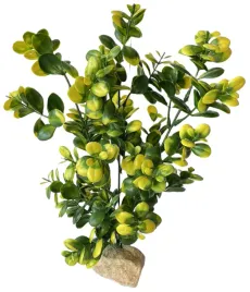 roslina-do-akwarium-sztuczna-naturalny-wyglad-roslinka-duza-xxl-wys-35cm