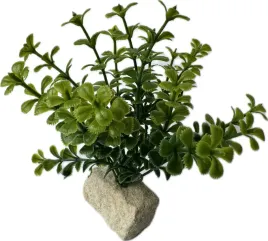 roslinka-do-akwarium-terarium-sztuczna-ozdoba-dekoracja-zielona-wys-12cm