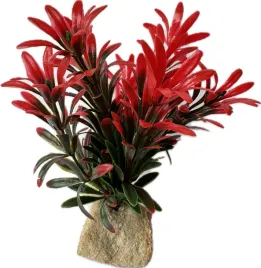roslinka-do-akwarium-terarium-sztuczna-ozdoba-dekoracja-bordowa-wys-14cm