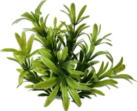 roslinka-do-akwarium-terarium-sztuczna-ozdoba-dekoracja-zielona-wys-14cm