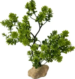 roslinka-do-akwarium-terarium-sztuczna-ozdoba-dekoracja-zielona-wys-23cm