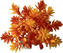 roslinka-do-akwarium-terarium-sztuczna-ozdoba-dekoracja-pomaranczowa-9cm