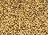 proso-zolte-1kg