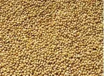 proso-zolte-1kg