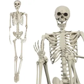 szkielet-xxl-kosciotrup-wiszacy-straszna-dekoracja-na-halloween-duzy-160cm
