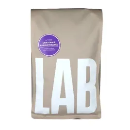 kawa-ziarnista-coffee-lab-gwatemala-huehuetenango-1000g-espresso