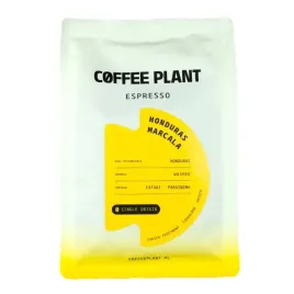 kawa-coffee-plant-honduras-marcala-250g