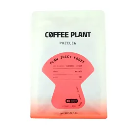 kawa-ziarnista-coffee-plant-flow-juicy-fruit-250g