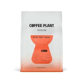 kawa-ziarnista-coffee-plant-flow-verry-berry-250g