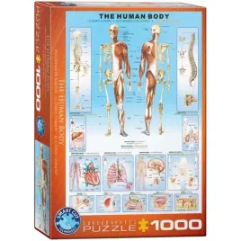 puzzle-1000-the-human-body-6000-1000