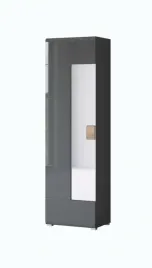 szafa-toledo-szerokosc-60-cm-antracyt-antracyt-polysk-dab-grandson-helv