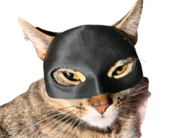 maska-dla-kota-batman-bat-cat-przebranie-dla-kota-na-halloween