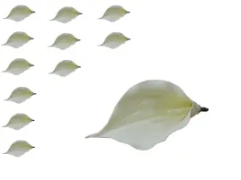 ekk-kalia-wyrobowa-12-szt-glowki-kalii-kremowa-kalia
