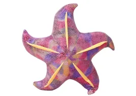 maskotka-pluszowa-rozgwiazda-fioletowa-poduszka-20-cm