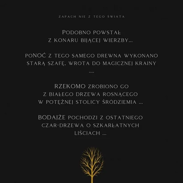 k2-evos-samurai-zawieszka-perfumy-do-samochodu-rodzaj-zawieszki