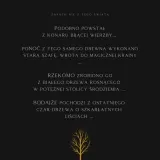 k2-evos-samurai-zawieszka-perfumy-do-samochodu-rodzaj-zawieszki