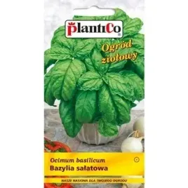 plantico-bazylia-salatowa