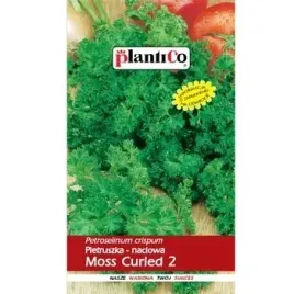 pietruszka-moss-curled-2-plantico
