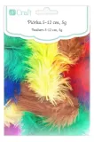 piorka-dekoracyjne-basic-dpcraft-dalprint-5-do-12-cm-5-g