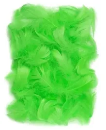 piorka-dekoracyjne-zielone-5-12-cm-10-g-dalprint-dpcraft