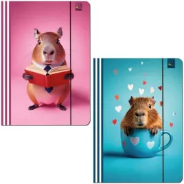 teczka-a4-z-gumka-kapibara-mix-wzorow-bee-bee-232x320-mm