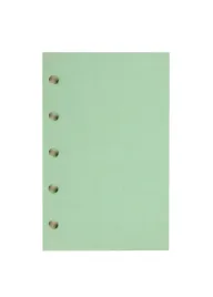 antra-wklad-do-organizera-m-folia-czysta-zielona-67x105-cm