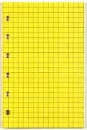 wklad-do-organizera-k-kratka-zolta-antra-folia-8x125-cm